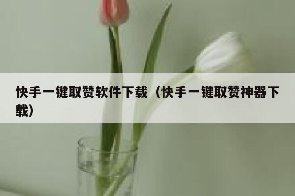 快手一键取赞软件下载(快手一键取赞神器下载) 第1张 快手一键取赞软件下载(快手一键取赞神器下载) 第1张