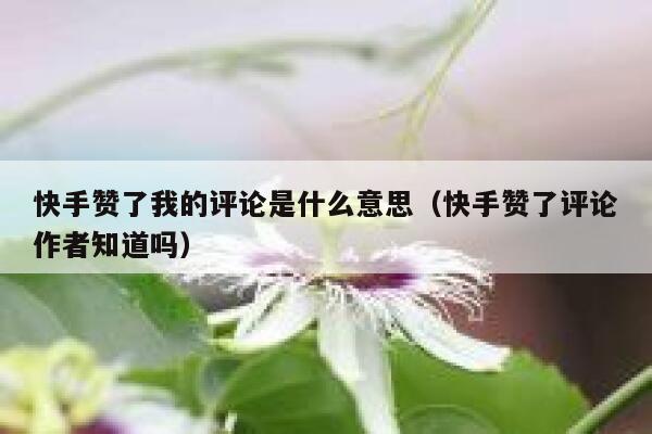 快手赞了我的评论是什么意思（快手赞了评论作者知道吗） 第1张