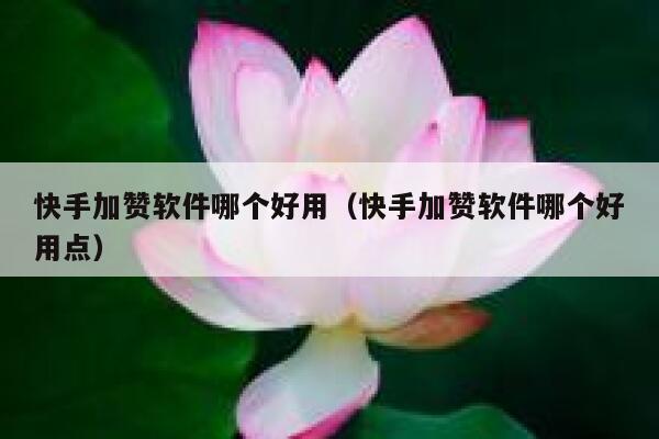 快手加赞软件哪个好用(快手加赞软件哪个好用点) 第1张 快手加赞软件哪个好用(快手加赞软件哪个好用点) 第1张