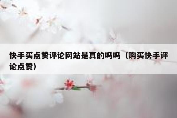 快手买点赞评论网站是真的吗吗（购买快手评论点赞） 第1张