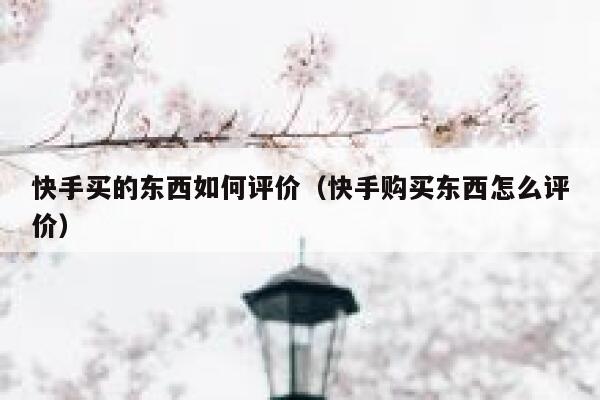 快手买的东西如何评价(快手购买东西怎么评价) 第1张 快手买的东西如何评价(快手购买东西怎么评价) 第1张