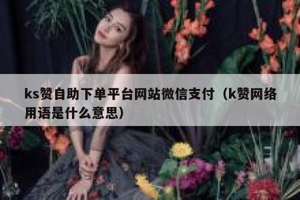 ks赞自助下单平台网站微信支付（k赞网络用语是什么意思） 第1张