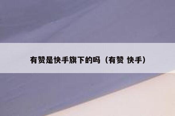 有赞是快手旗下的吗（有赞 快手） 第1张