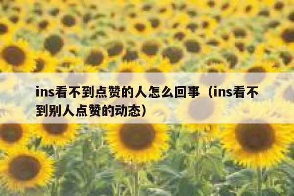 ins看不到点赞的人怎么回事（ins看不到别人点赞的动态） 第1张