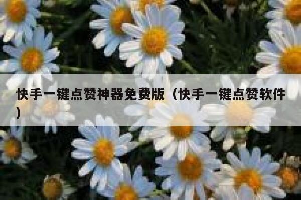 快手一键点赞神器免费版(快手一键点赞软件) 第1张 快手一键点赞神器免费版(快手一键点赞软件) 第1张