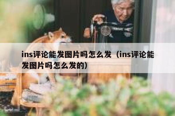 ins评论能发图片吗怎么发(ins评论能发图片吗怎么发的) 第1张 ins评论能发图片吗怎么发(ins评论能发图片吗怎么发的) 第1张