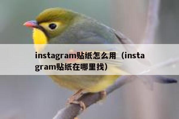 instagram贴纸怎么用（instagram贴纸在哪里找） 第1张