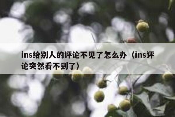ins给别人的评论不见了怎么办(ins评论突然看不到了) 第1张 ins给别人的评论不见了怎么办(ins评论突然看不到了) 第1张