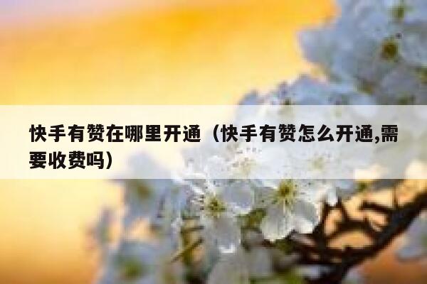 快手有赞在哪里开通（快手有赞怎么开通,需要收费吗） 第1张