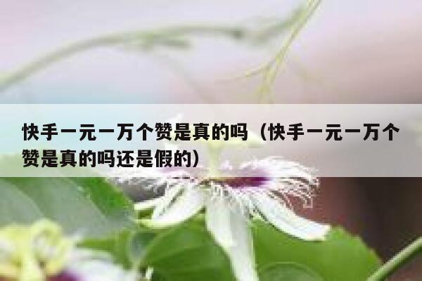 快手一元一万个赞是真的吗(快手一元一万个赞是真的吗还是假的) 第1张 快手一元一万个赞是真的吗(快手一元一万个赞是真的吗还是假的) 第1张