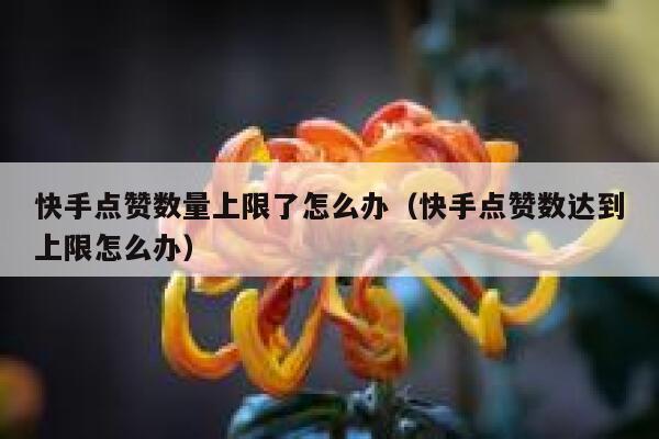 快手点赞数量上限了怎么办（快手点赞数达到上限怎么办） 第1张