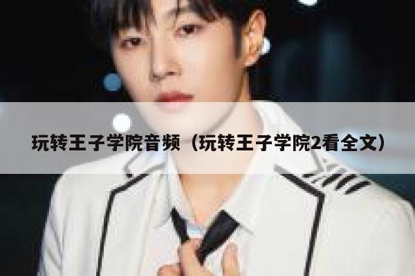 玩转王子学院音频（玩转王子学院2看全文） 第1张