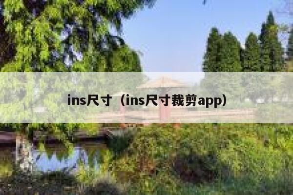 ins尺寸（ins尺寸裁剪app） 第1张