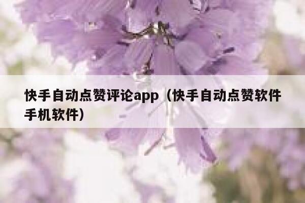 快手自动点赞评论app（快手自动点赞软件手机软件） 第1张