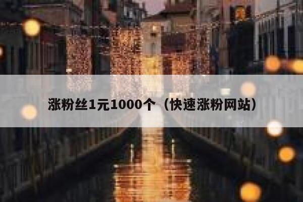 涨粉丝1元1000个（快速涨粉网站） 第1张
