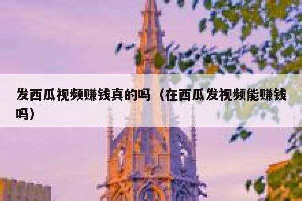 发西瓜视频赚钱真的吗（在西瓜发视频能赚钱吗） 第1张