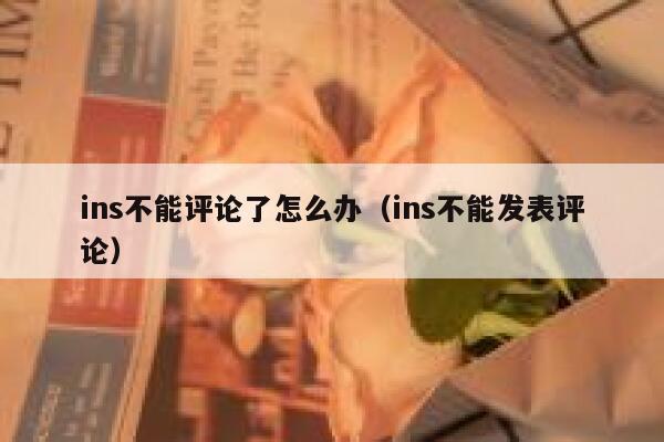 ins不能评论了怎么办(ins不能发表评论) 第1张 ins不能评论了怎么办(ins不能发表评论) 第1张