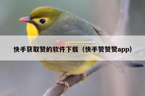 快手获取赞的软件下载（快手赞赞赞app） 第1张