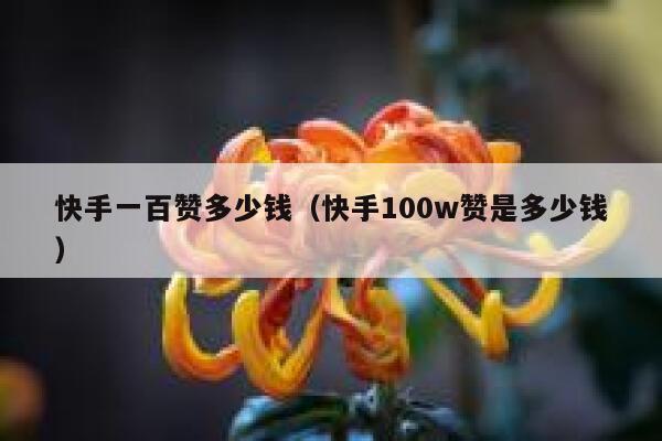 快手一百赞多少钱（快手100w赞是多少钱） 第1张