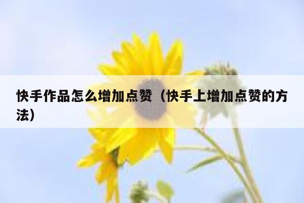 快手作品怎么增加点赞（快手上增加点赞的方法） 第1张