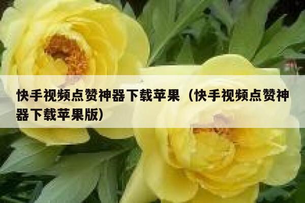 快手视频点赞神器下载苹果（快手视频点赞神器下载苹果版） 第1张