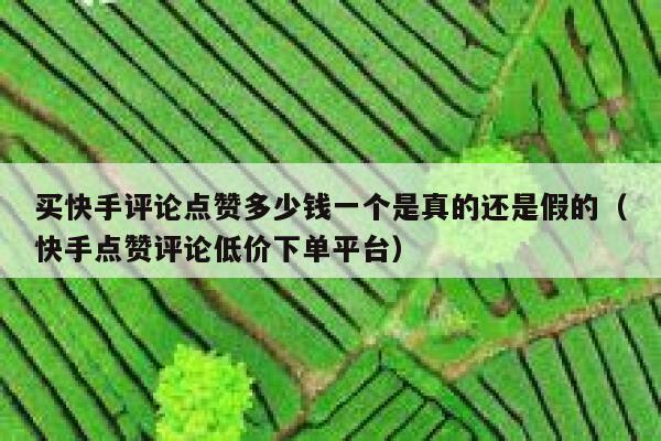 买快手评论点赞多少钱一个是真的还是假的（快手点赞评论低价下单平台） 第1张