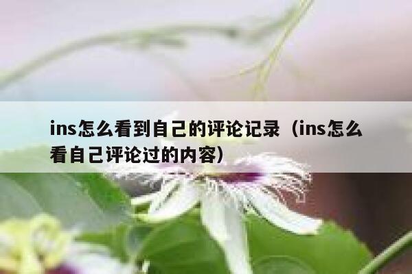 ins怎么看到自己的评论记录（ins怎么看自己评论过的内容） 第1张