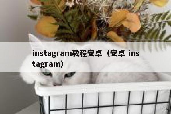 instagram教程安卓（安卓 instagram） 第1张
