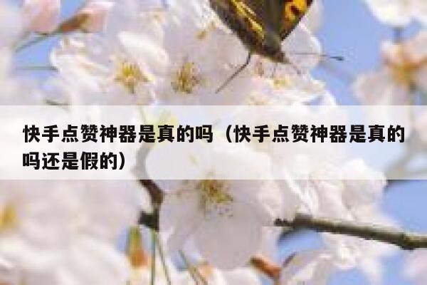 快手点赞神器是真的吗(快手点赞神器是真的吗还是假的) 第1张 快手点赞神器是真的吗(快手点赞神器是真的吗还是假的) 第1张
