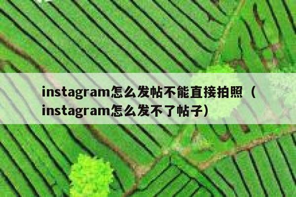 instagram怎么发帖不能直接拍照（instagram怎么发不了帖子） 第1张