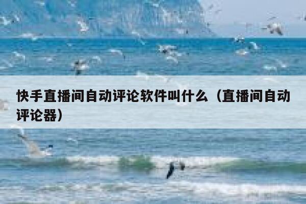快手直播间自动评论软件叫什么(直播间自动评论器) 第1张 快手直播间自动评论软件叫什么(直播间自动评论器) 第1张