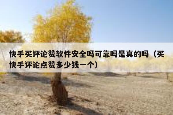 快手买评论赞软件安全吗可靠吗是真的吗(买快手评论点赞多少钱一个) 第1张 快手买评论赞软件安全吗可靠吗是真的吗(买快手评论点赞多少钱一个) 第1张