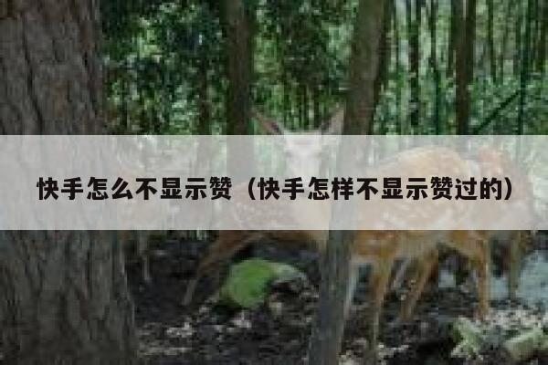 快手怎么不显示赞(快手怎样不显示赞过的) 第1张 快手怎么不显示赞(快手怎样不显示赞过的) 第1张