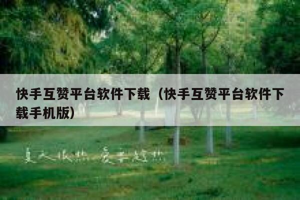 快手互赞平台软件下载（快手互赞平台软件下载手机版） 第1张