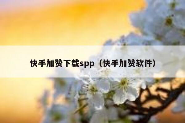 快手加赞下载spp（快手加赞软件） 第1张
