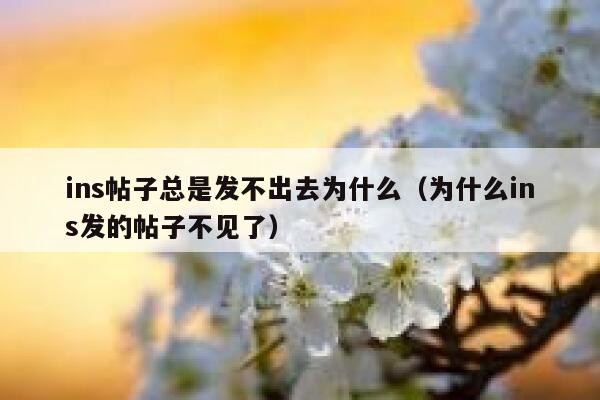 ins帖子总是发不出去为什么（为什么ins发的帖子不见了） 第1张