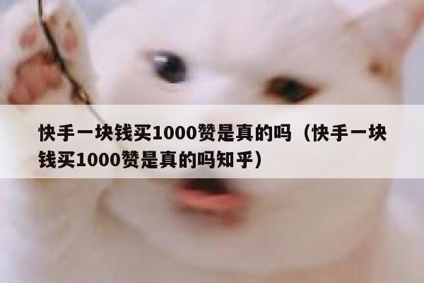 快手一块钱买1000赞是真的吗（快手一块钱买1000赞是真的吗知乎） 第1张
