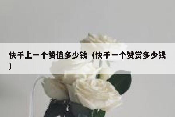 快手上一个赞值多少钱(快手一个赞赏多少钱) 第1张 快手上一个赞值多少钱(快手一个赞赏多少钱) 第1张