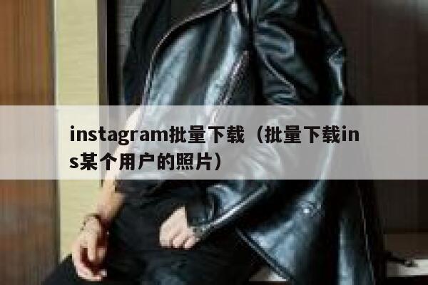 instagram批量下载(批量下载ins某个用户的照片) 第1张 instagram批量下载(批量下载ins某个用户的照片) 第1张