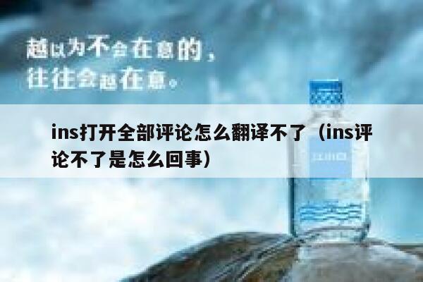 ins打开全部评论怎么翻译不了（ins评论不了是怎么回事） 第1张