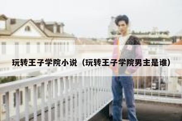 玩转王子学院小说（玩转王子学院男主是谁） 第1张