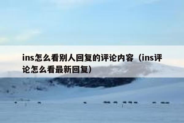 ins怎么看别人回复的评论内容（ins评论怎么看最新回复） 第1张