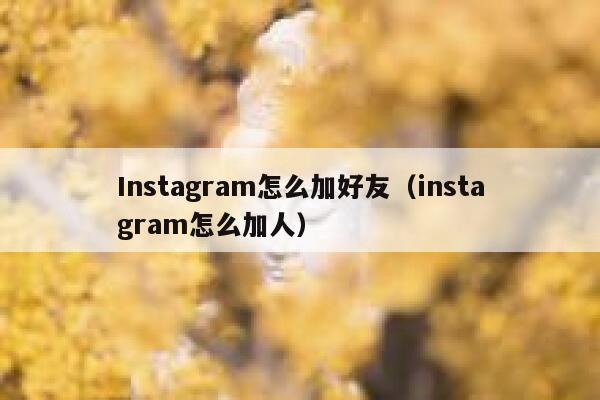 Instagram怎么加好友（instagram怎么加人） 第1张
