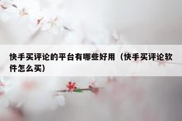 快手买评论的平台有哪些好用（快手买评论软件怎么买） 第1张