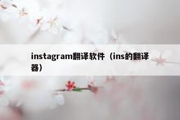 instagram翻译软件（ins的翻译器） 第1张