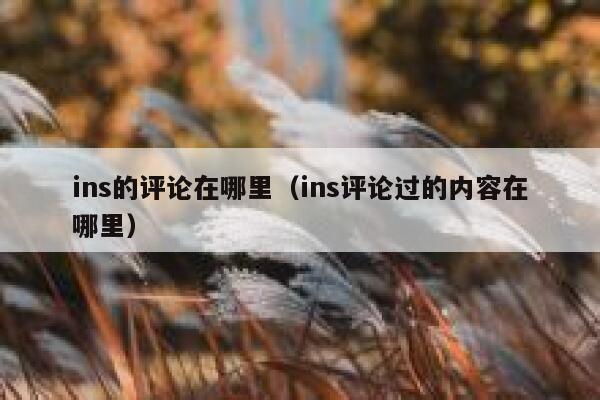 ins的评论在哪里（ins评论过的内容在哪里） 第1张