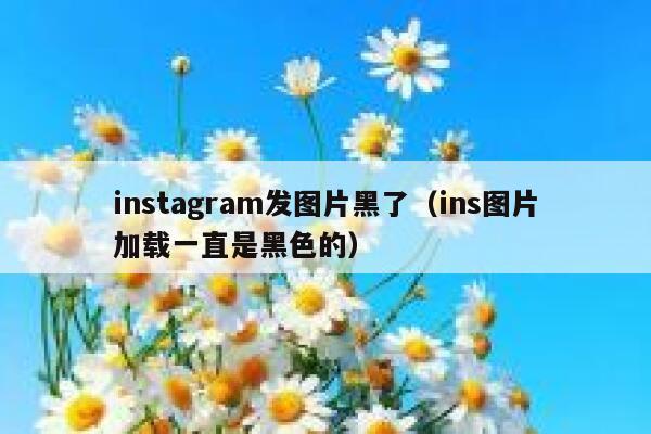 instagram发图片黑了（ins图片加载一直是黑色的） 第1张