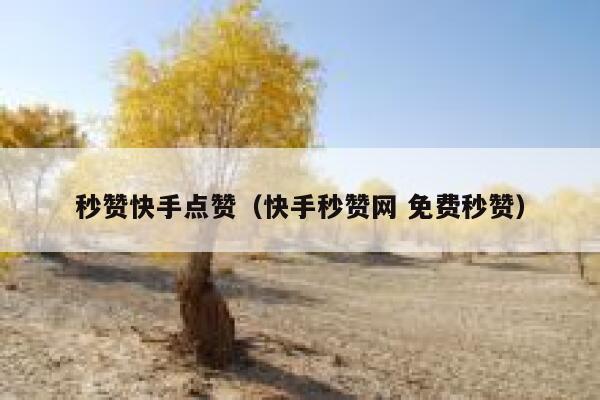 秒赞快手点赞（快手秒赞网 免费秒赞） 第1张