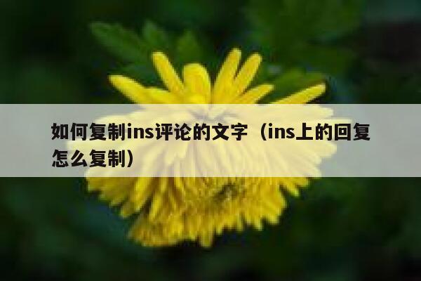 如何复制ins评论的文字（ins上的回复怎么复制） 第1张