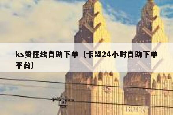 ks赞在线自助下单（卡盟24小时自助下单平台） 第1张
